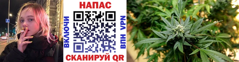 Купить закладки  Всеволожск  Каннабис семена 